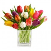 15-Stem Mixed Tulip Bouquet
