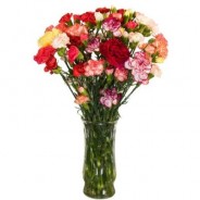 Carnations Flower Bouquet